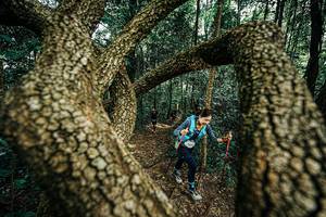 BIB: 
                            <button type="button" onclick="openModal(25394065)" class="btn btn-primary btn-sm float-right btn-popup" data-toggle="modal" data-target=".modal-high-quality">
                        <i class="fas fa-shopping-cart"></i> Add to Cart
                    </button>
                                            <button type="button" onclick="isThisMe(25394065, true)" class="btn btn-success btn-sm float-right btn-popup btn-isme hidden" data-toggle="tooltip" data-placement="bottom" title="นี่คือรูปของคุณใช่ไหม คลิกที่นี่เพื่อเอาเข้าอัลบั้ม">
                        <i class="fas fa-plus"></i> Add to album
                    </button>
                    <button type="button" onclick="isThisMe(25394065, false)" class="btn btn-warning btn-sm float-right btn-popup btn-isnotme hidden">
                        <i class="fas fa-ban"></i> Remove from album
                    </button>